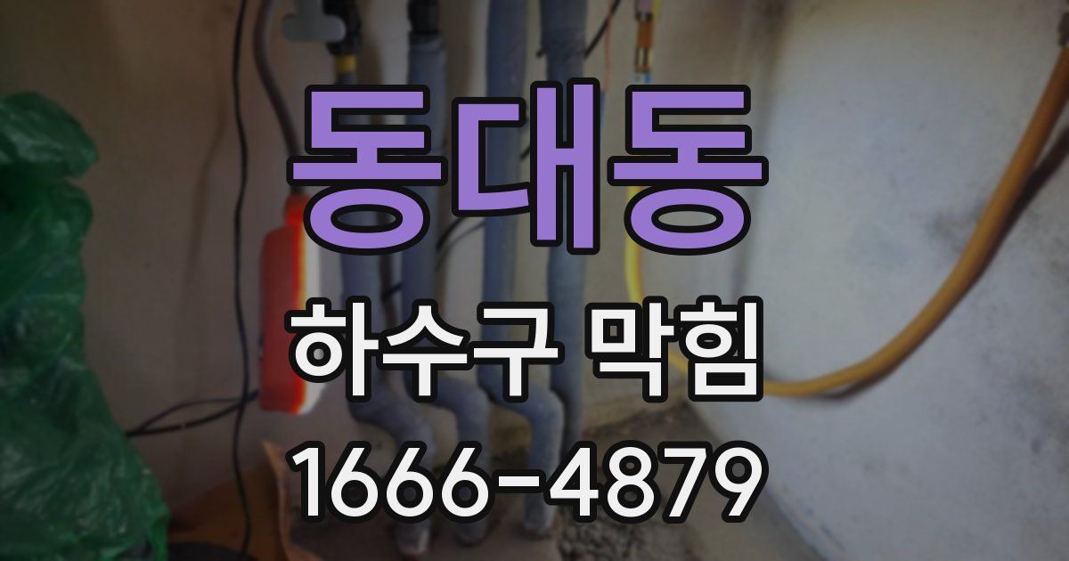 동대동 하수구 막힘