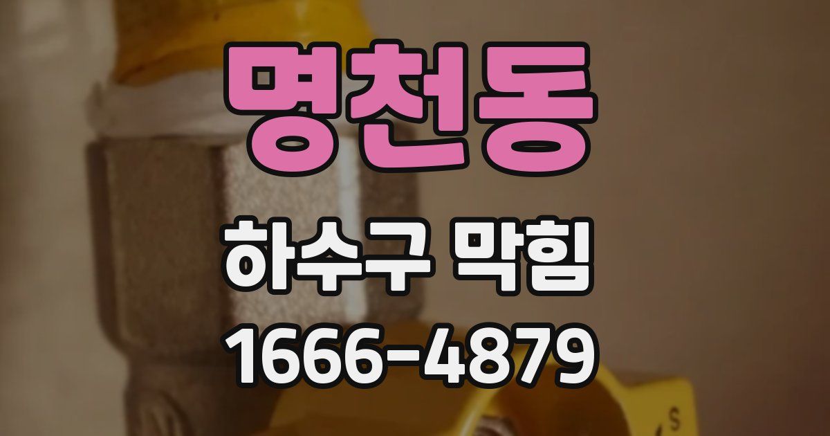 명천동 하수구 막힘