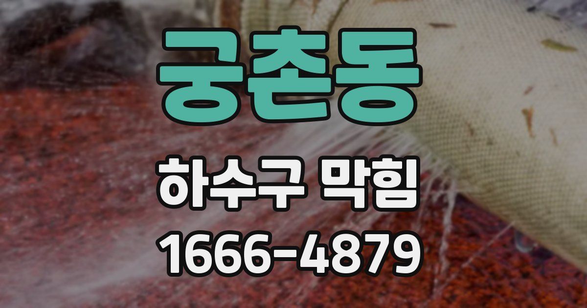 궁촌동 하수구 막힘