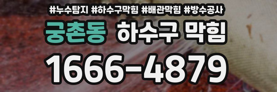 궁촌동 하수구 막힘