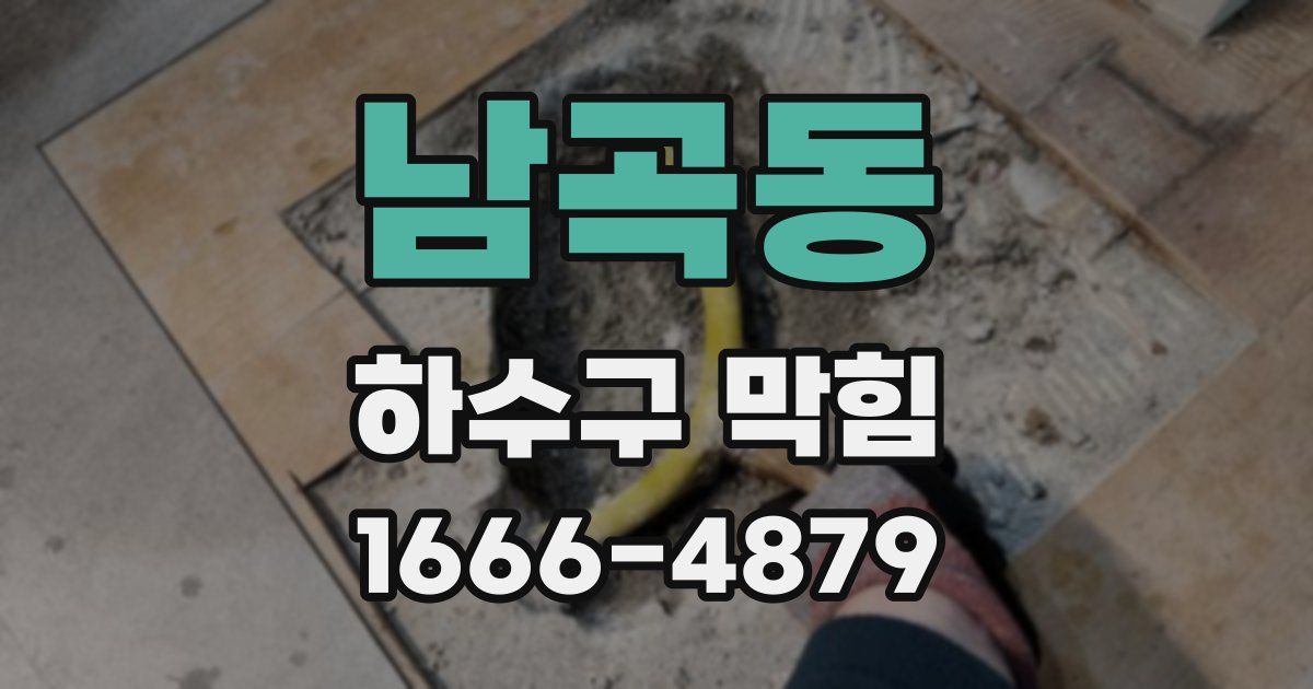 남곡동 하수구 막힘