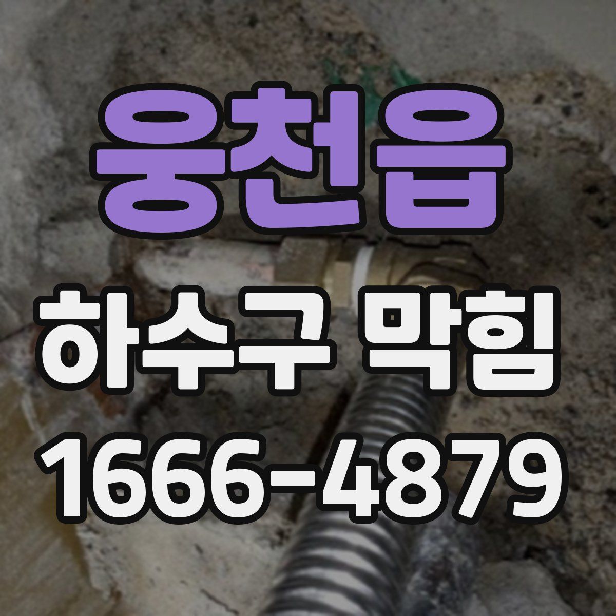 웅천읍 하수구 막힘
