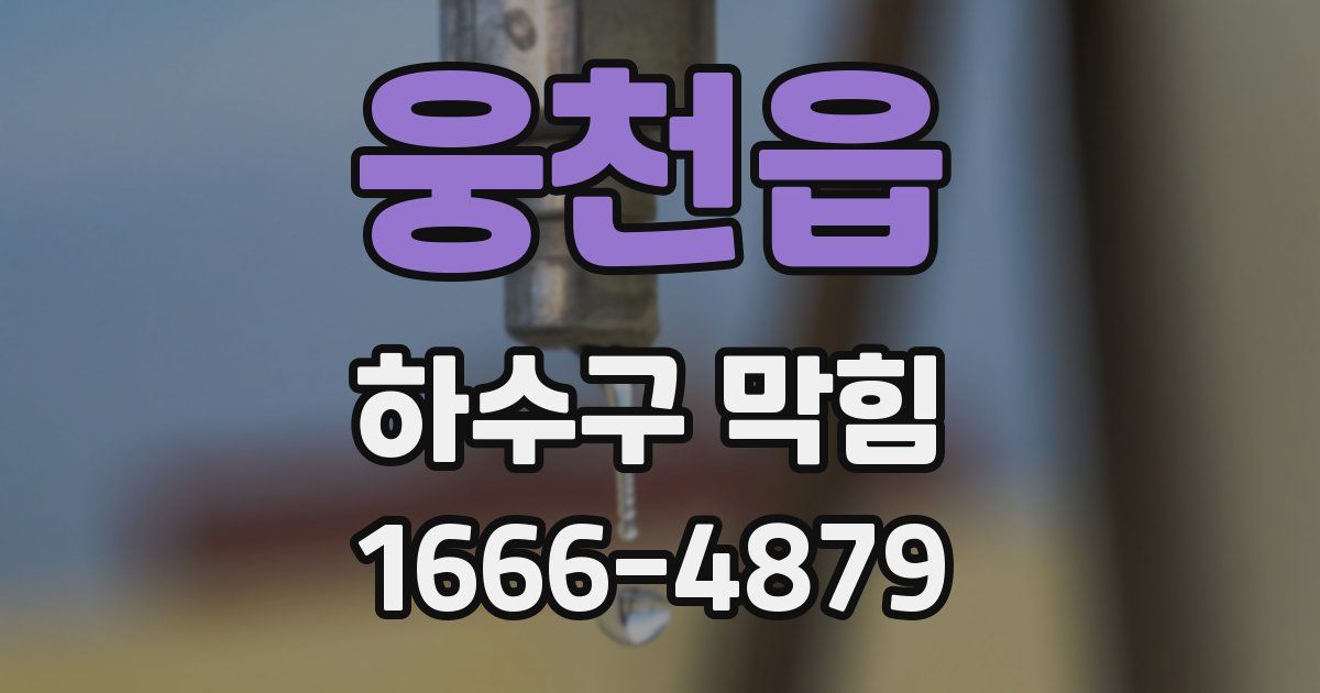 웅천읍 하수구 막힘