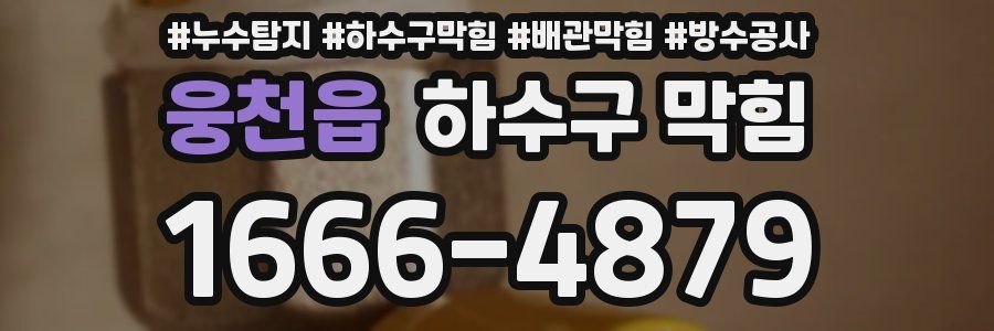 웅천읍 하수구 막힘