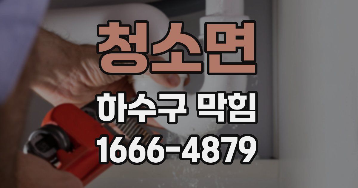 청소면 하수구 막힘