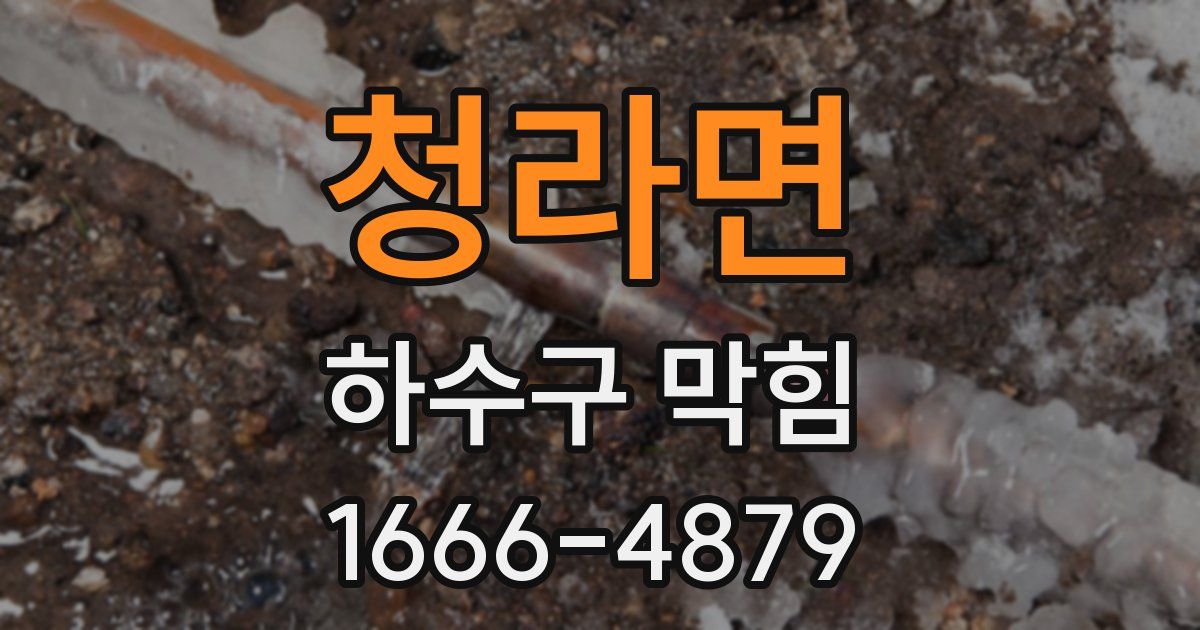 청라면 하수구 막힘