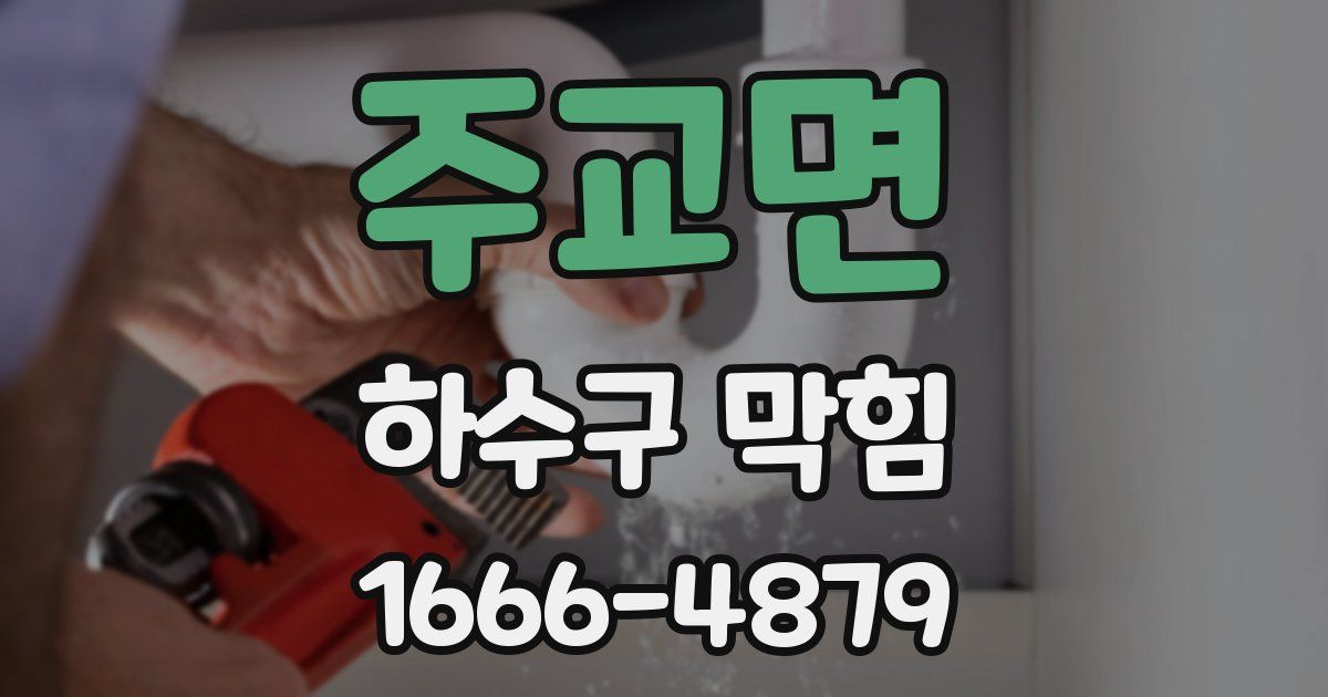 주교면 하수구 막힘