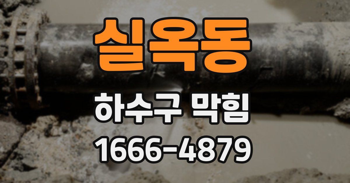 실옥동 하수구 막힘