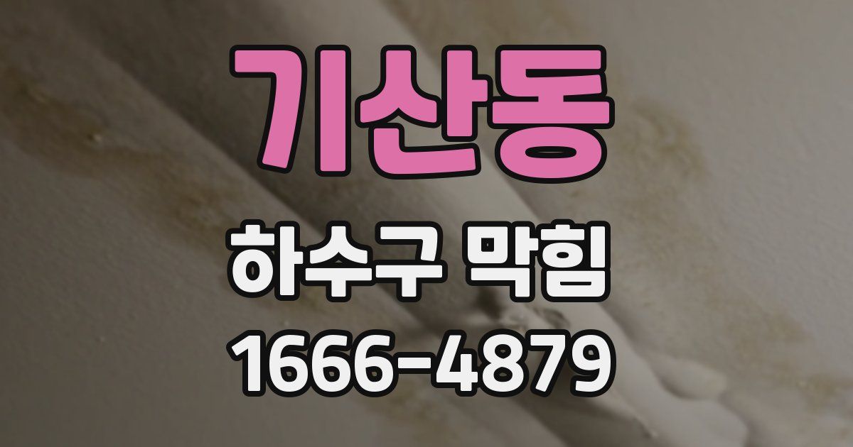 기산동 하수구 막힘