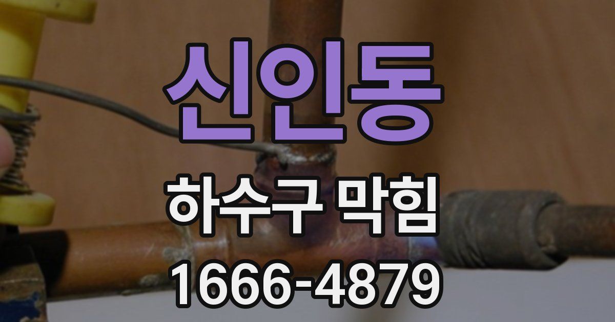 신인동 하수구 막힘