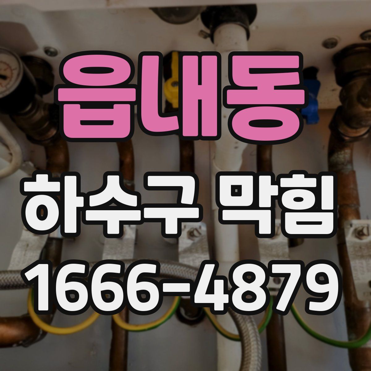 읍내동 하수구 막힘