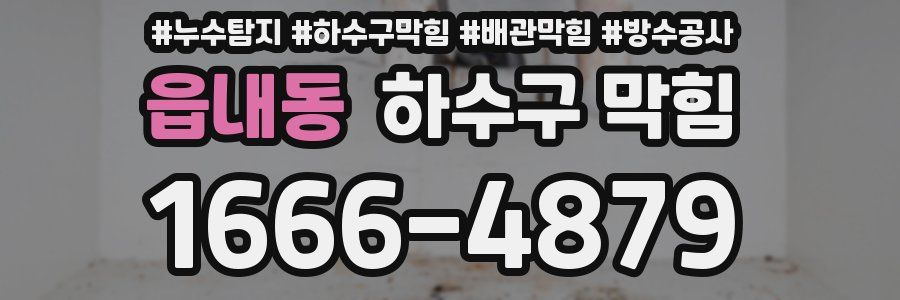 읍내동 하수구 막힘