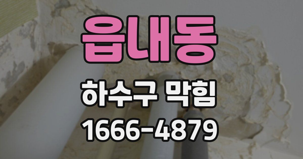 읍내동 하수구 막힘