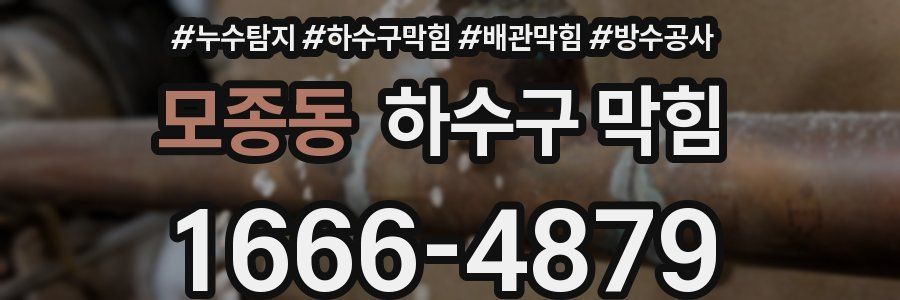 모종동 하수구 막힘