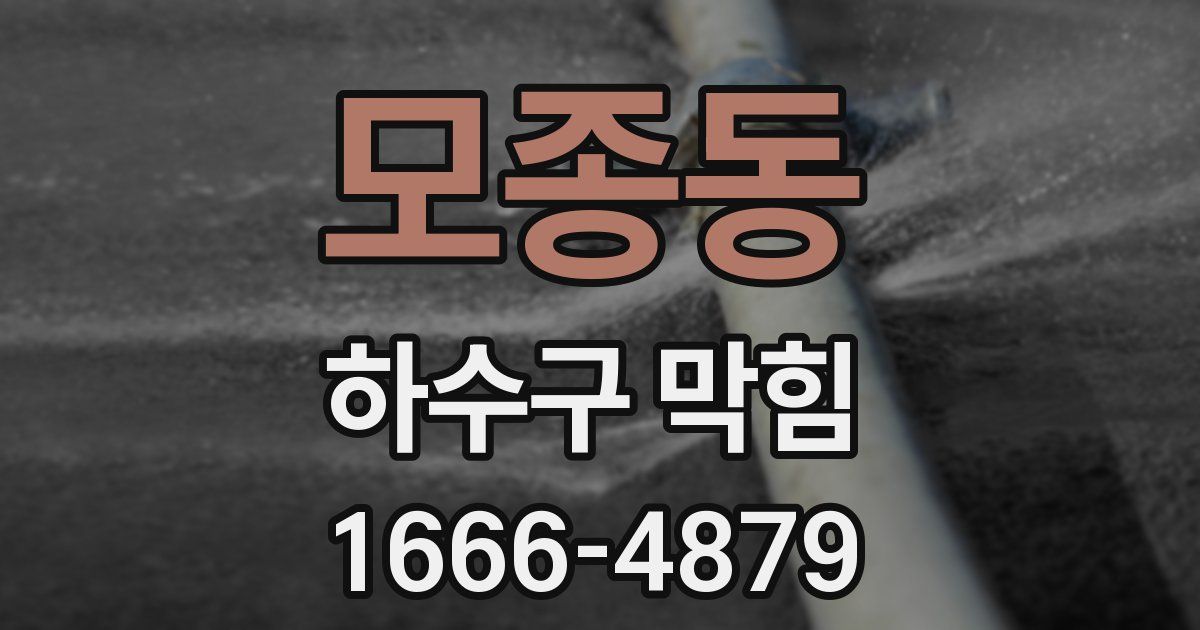 모종동 하수구 막힘