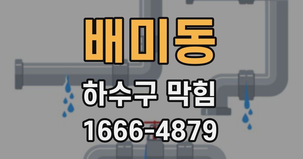 배미동 하수구 막힘