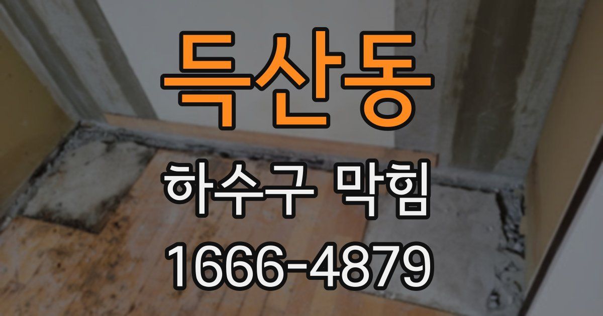 득산동 하수구 막힘