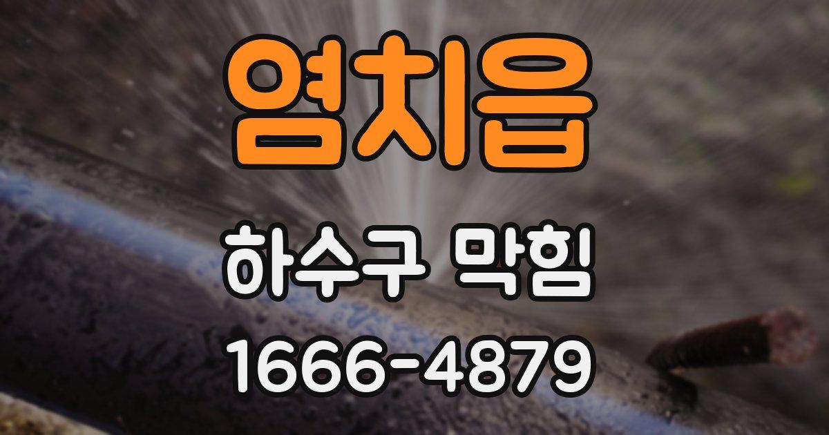 염치읍 하수구 막힘