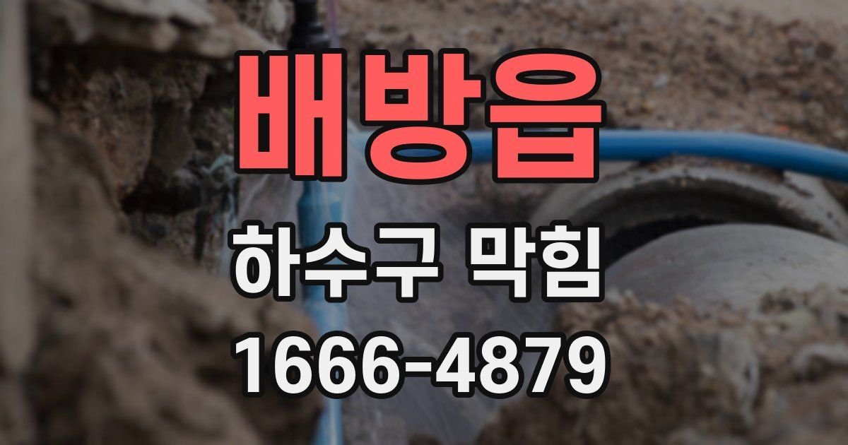 배방읍 하수구 막힘