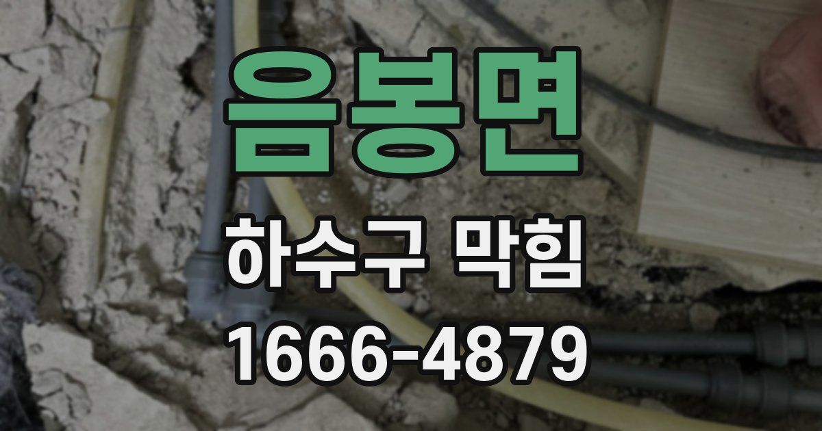 음봉면 하수구 막힘