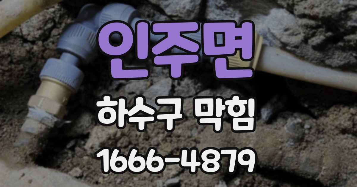 인주면 하수구 막힘
