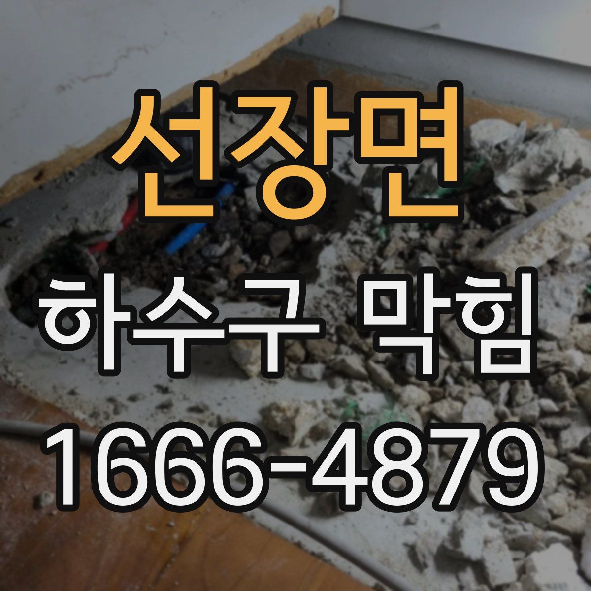 선장면 하수구 막힘