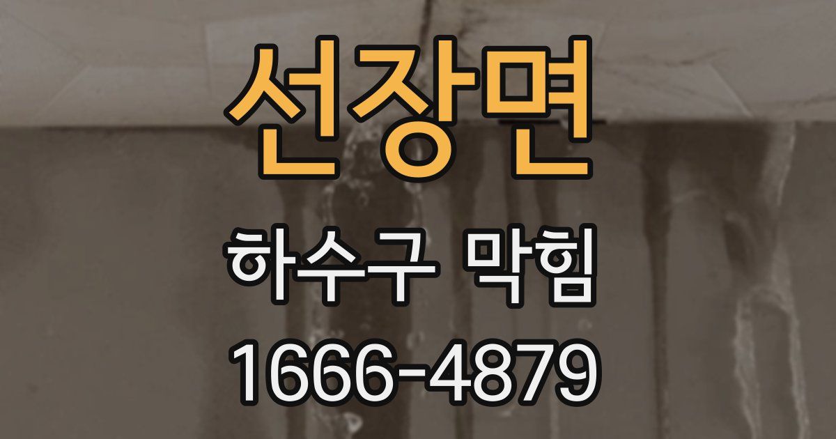 선장면 하수구 막힘