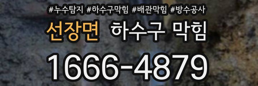 선장면 하수구 막힘