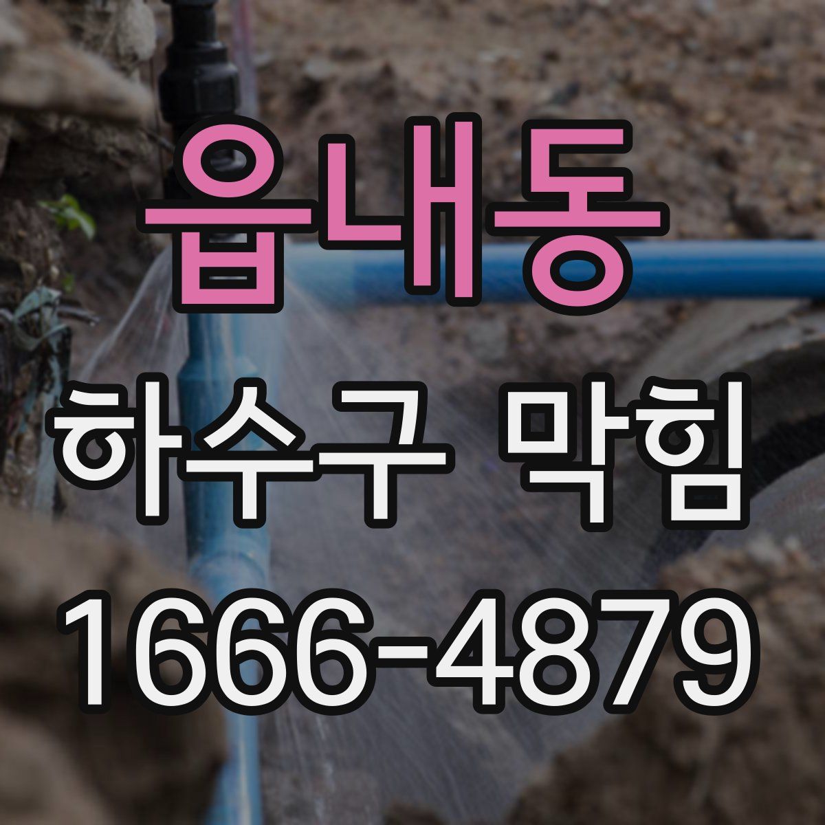 읍내동 하수구 막힘