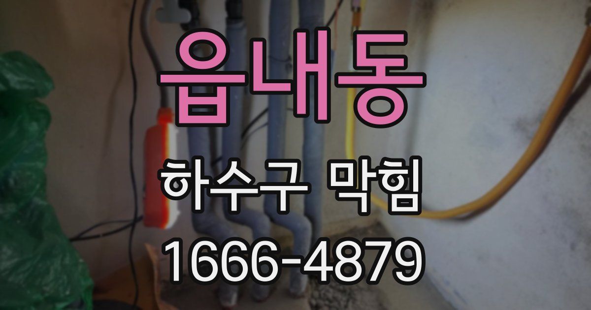 읍내동 하수구 막힘