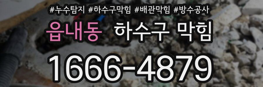읍내동 하수구 막힘