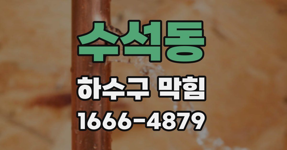 수석동 하수구 막힘