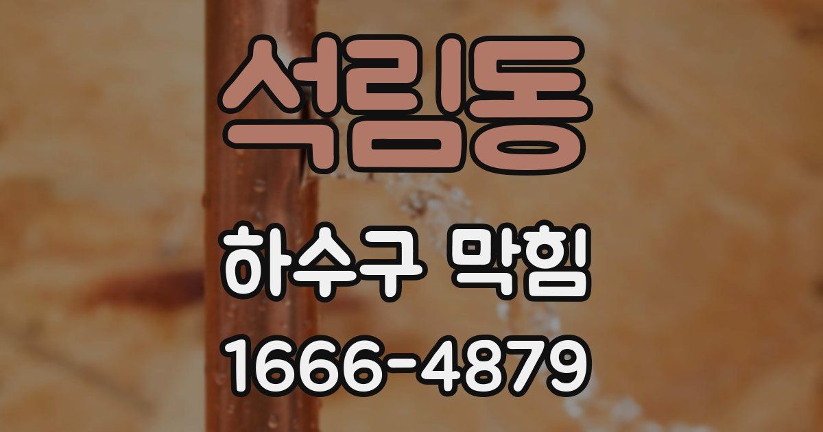 석림동 하수구 막힘