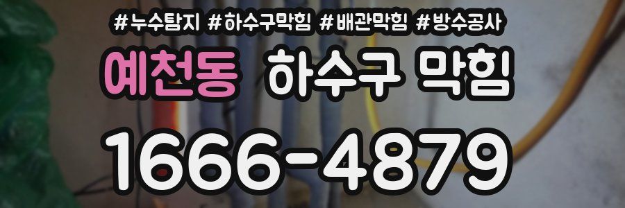 예천동 하수구 막힘