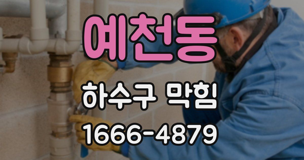 예천동 하수구 막힘