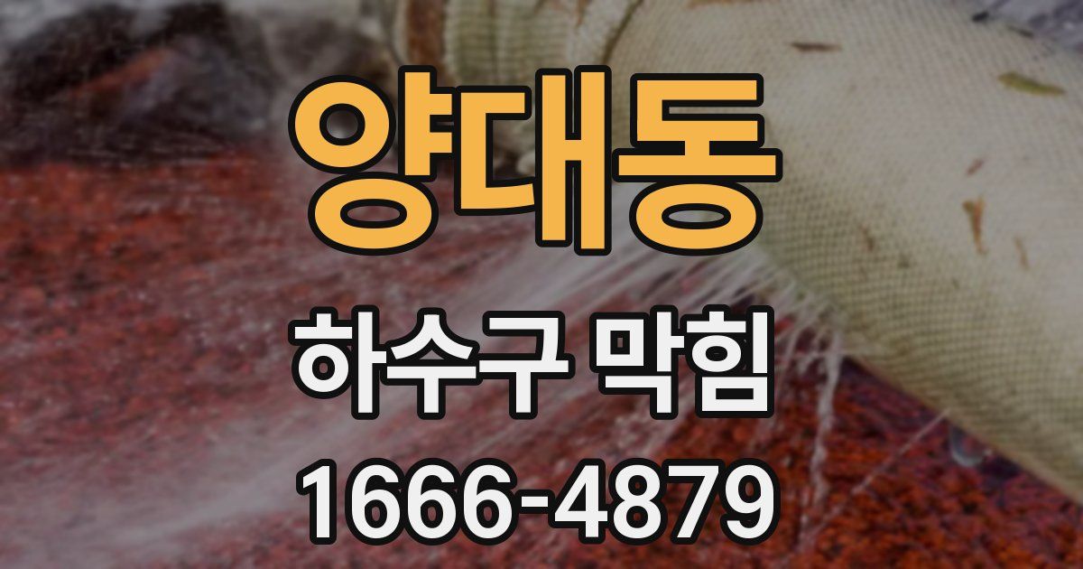 양대동 하수구 막힘