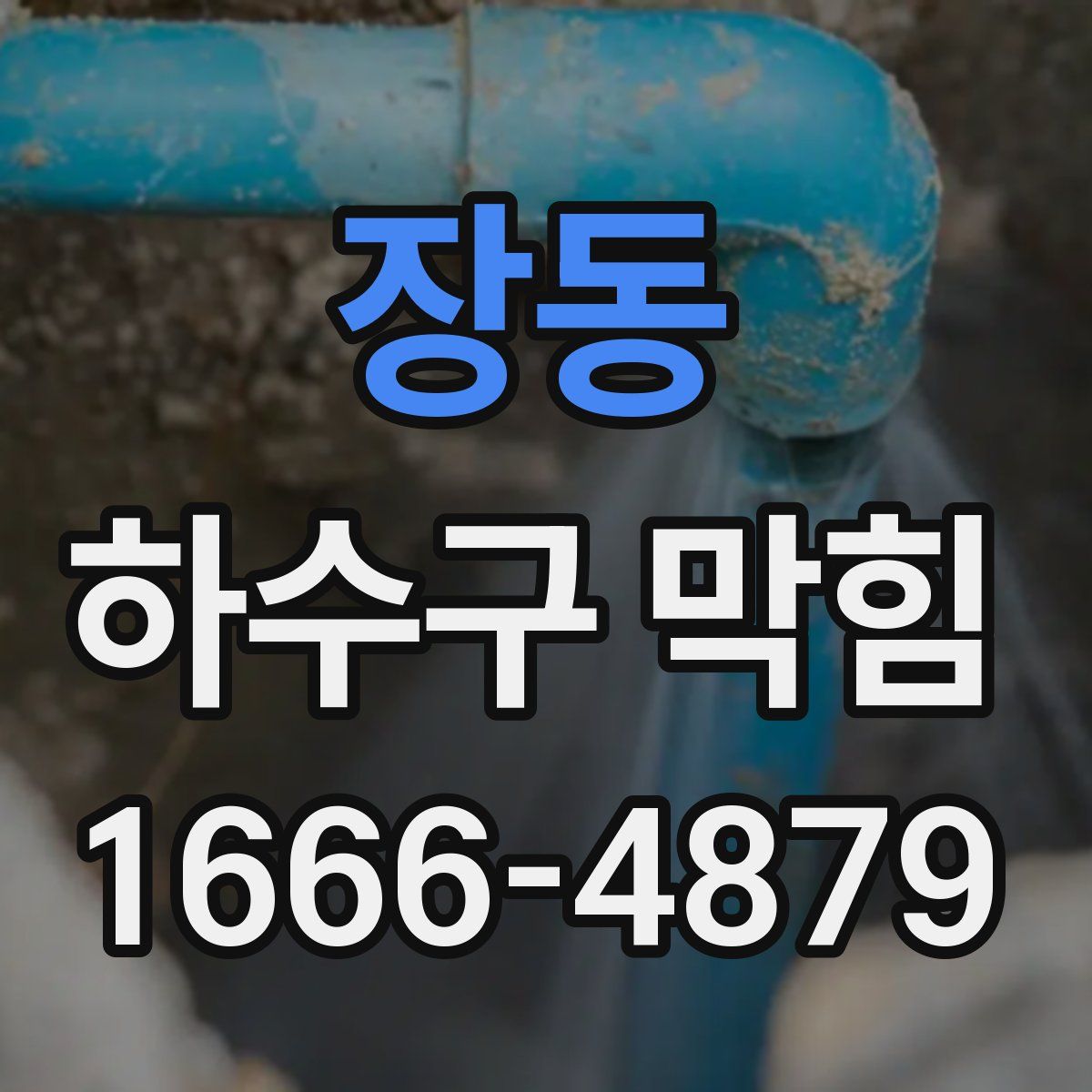장동 하수구 막힘