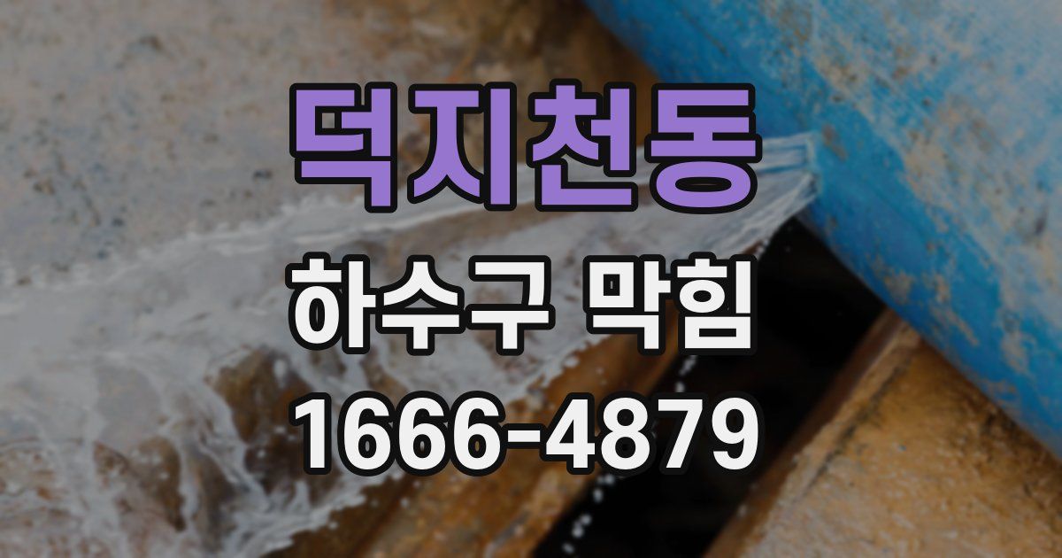 덕지천동 하수구 막힘