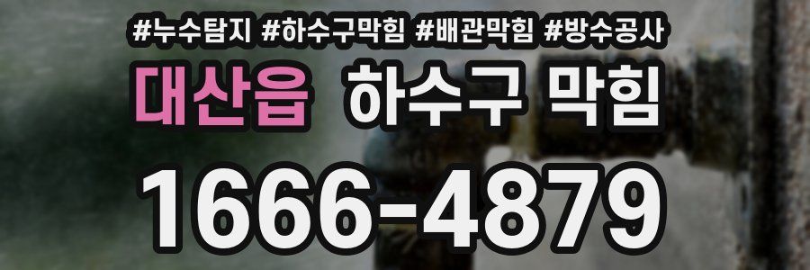 대산읍 하수구 막힘