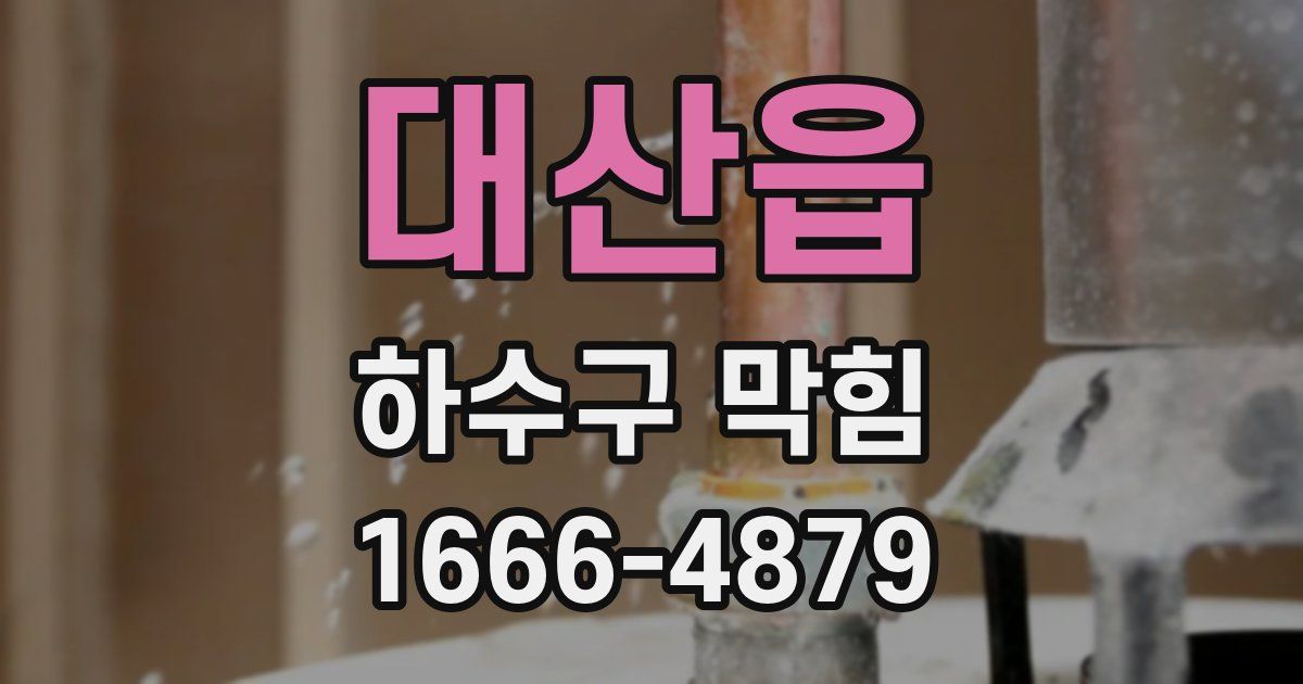 대산읍 하수구 막힘