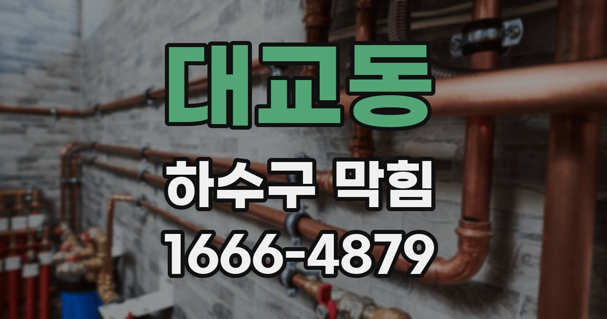 대교동 하수구 막힘