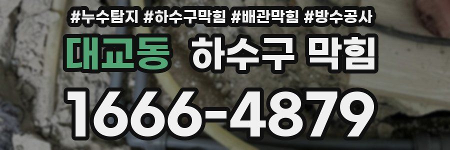 대교동 하수구 막힘