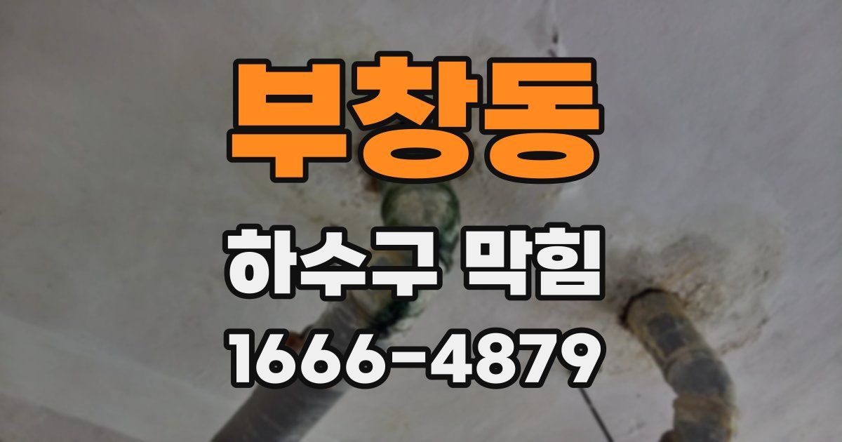 부창동 하수구 막힘