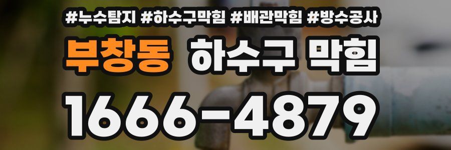 부창동 하수구 막힘