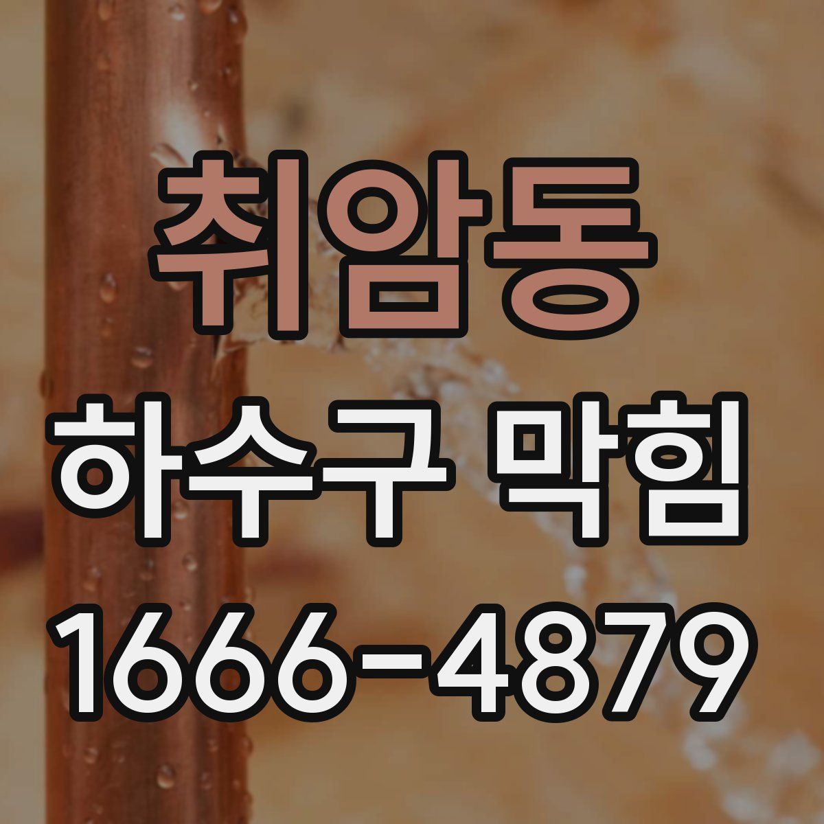 취암동 하수구 막힘