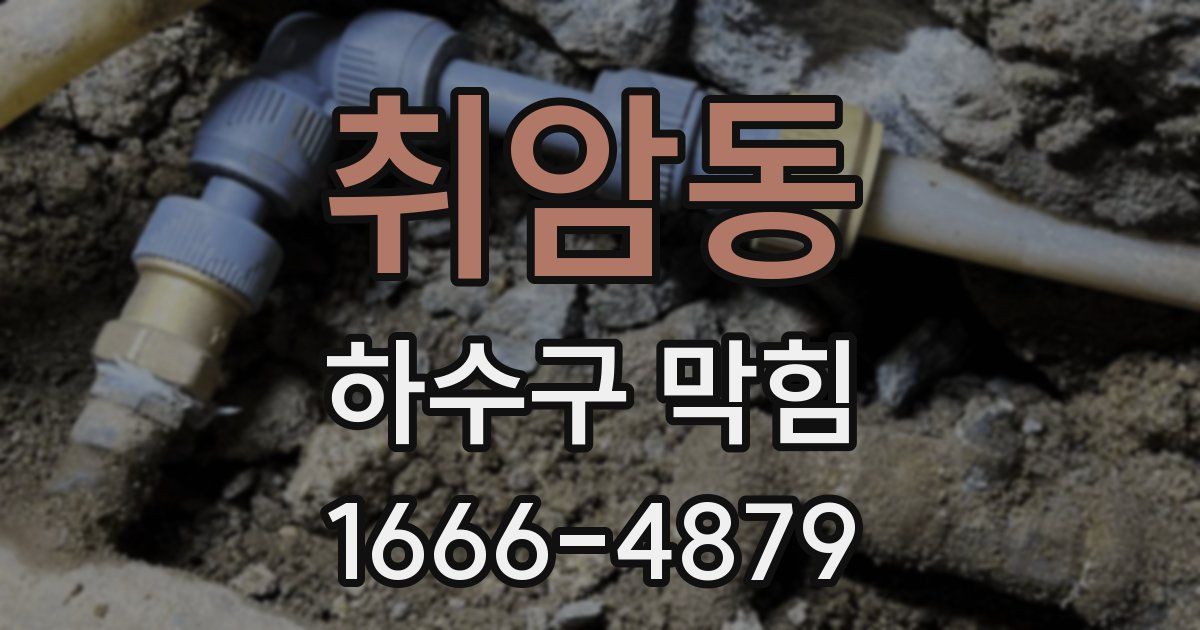 취암동 하수구 막힘