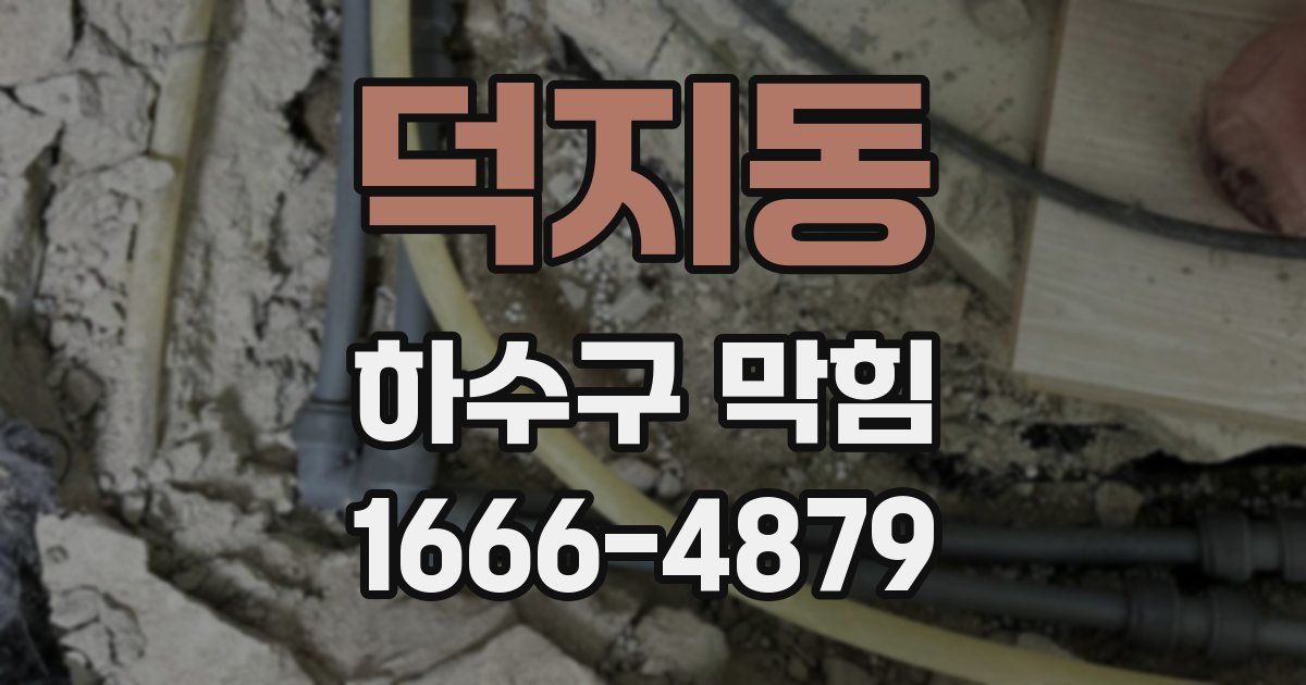 덕지동 하수구 막힘