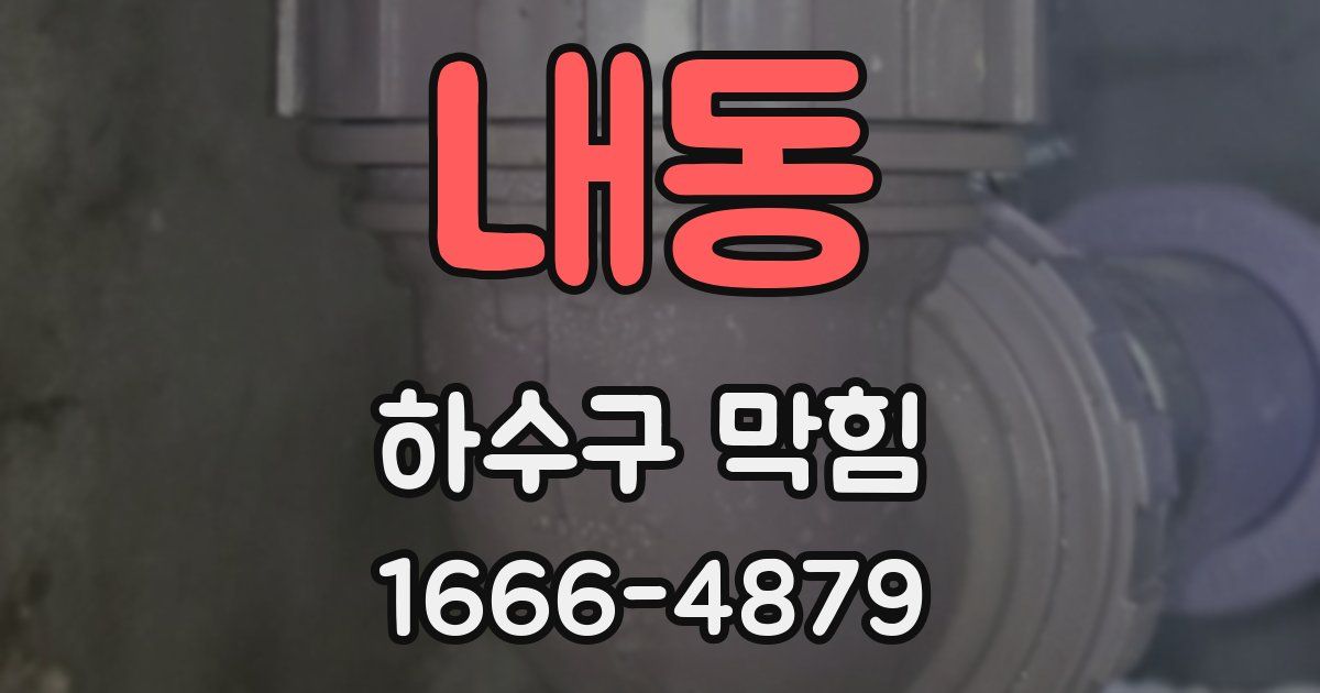 내동 하수구 막힘