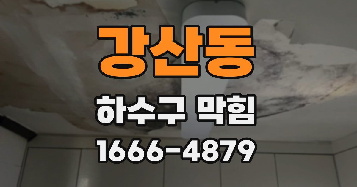 강산동 하수구 막힘