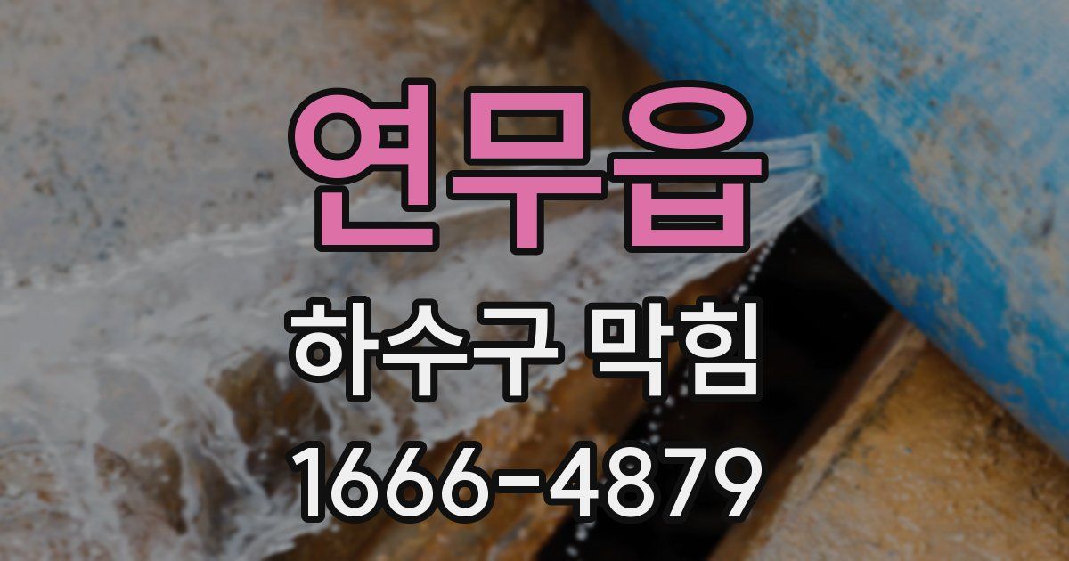 연무읍 하수구 막힘
